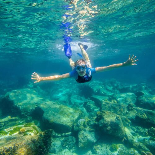 Molokini and Turtle Arches Snorkeling Trip